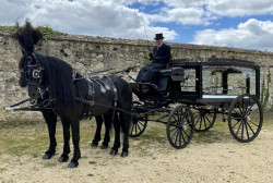 sounthampton horse funeral